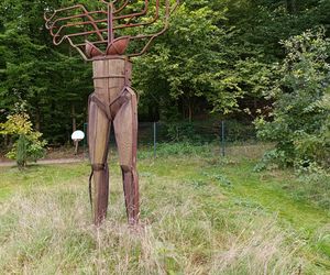 Zaczarowany ogród Alicji w Krainie Czarów i ścieżka spacerowa w lesie. Leśny Ogród Botaniczny Marszewo