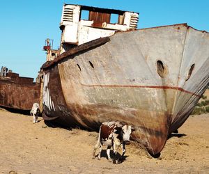 To największa katastrofa ekologiczna w dziejach. Każdy podmuch wiatru jest potencjalnym atakiem chemicznym