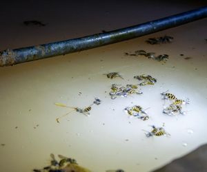 KAS zlikwidowała bimbrownię w gminie Mońki. 28-latek usłyszał zarzuty