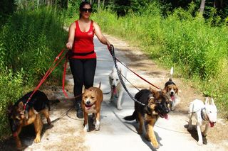 Festiwal Przyjaciół Zwierząt w Olsztynie już w sobotę