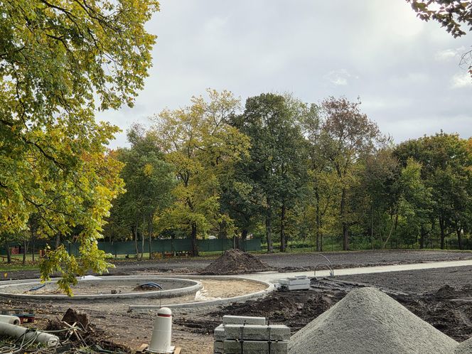 Krypta odkryta podczas rewitalizacji parku w Bydgoszczy. „Nie będziemy w żaden sposób ingerować”