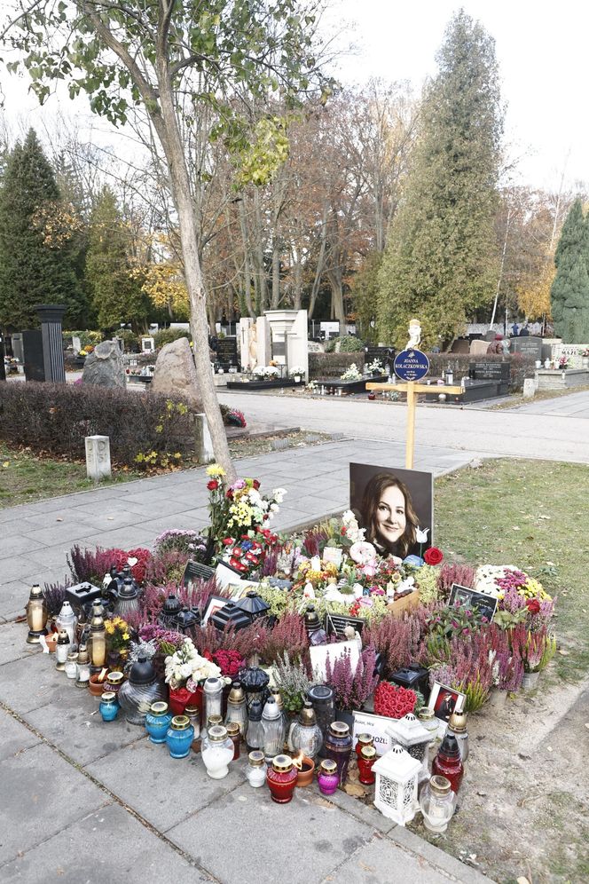 Tak wyglądają groby Zapasiewicza, Tyma, Kołaczkowskiej, Stoparczyk