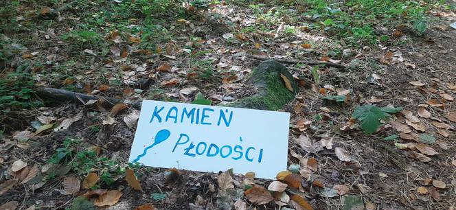 „Jak góra z górą” czyli diabla i niebiańska kultura w Miłakowie