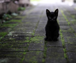 Oto, komu będzie sprzyjać szczęście. Jeśli nie zagrasz w totolotka, będziesz ŻAŁOWAŁ. Czas niespodziewanych wizyt i miłosnych rozterek
