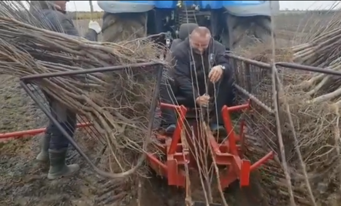 Mariusz Pudzianowski na polu