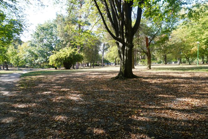 Park Konstytucji 3 Maja