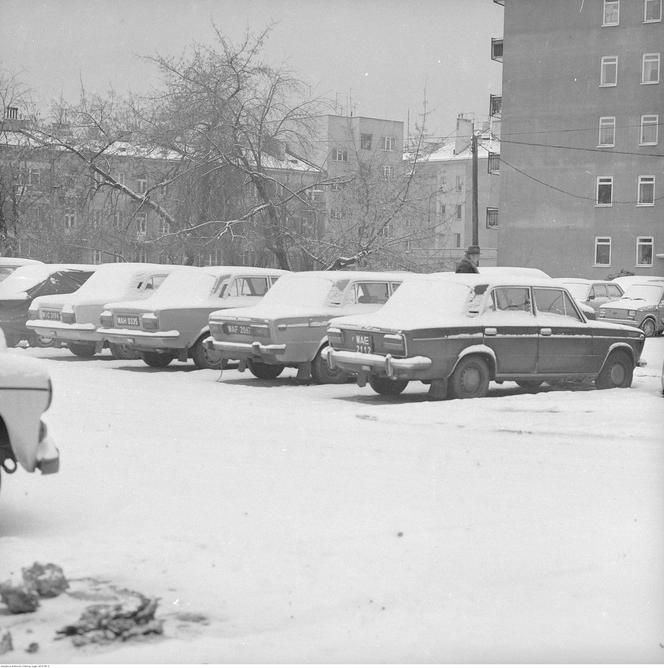 Samochody zimą w Warszawie