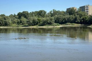 Stan wody w Wiśle - Warszawa (2.07.2025)