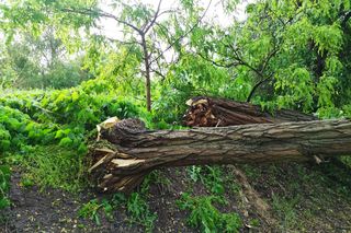 Burze w woj. lubelskim.