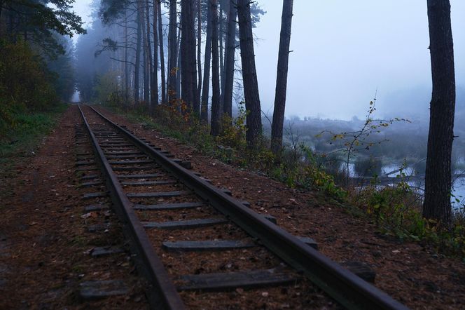 Wąskotorówka Starachowice 