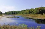 Puszcza Białowieska to idealny pomysł na odwiedziny jesienią