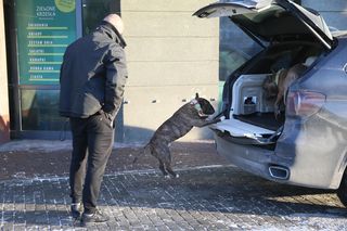 Artur Szpilka i Cycu