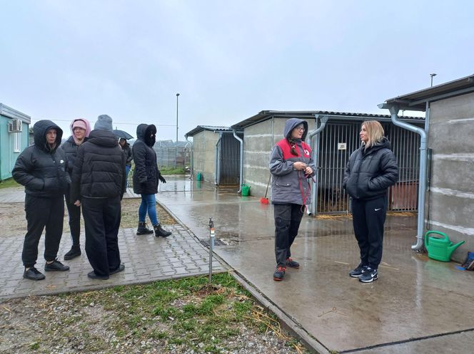 Bieg z seniorkiem - akcja schroniska w Hnerykowie dla podopiecznych psów