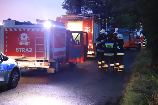 Wielkopolskie. Mercedes uderzył w drzewo! 26-letni pasażer nie żyje! 