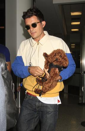 Orlando Bloom z psem