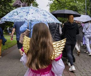 Dni Dąbrowy Górniczej 2024