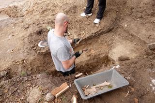 Robili wykopy pod światłowód, odkryli szczątki niemieckich żołnierzy