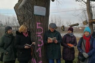 Protest przeciwko wycince drzew