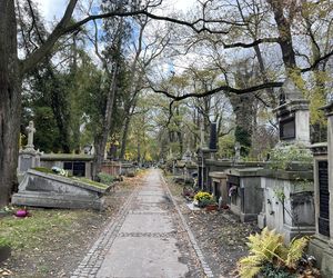 Groby architektów na krakowskich cmentarzach