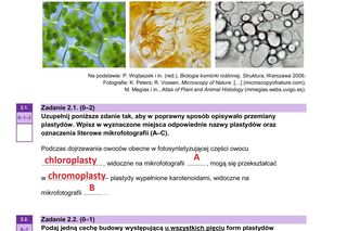 Matura 2025 biologia rozszerzona: ODPOWIEDZI do wszystkich zadań, gotowe rozwiązania matury z biologii rozszerzonej - Formuła 2023 [9.05.2025]	