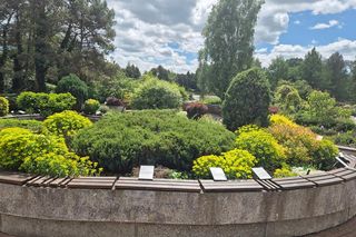 Arboretum w Bolestraszycach 