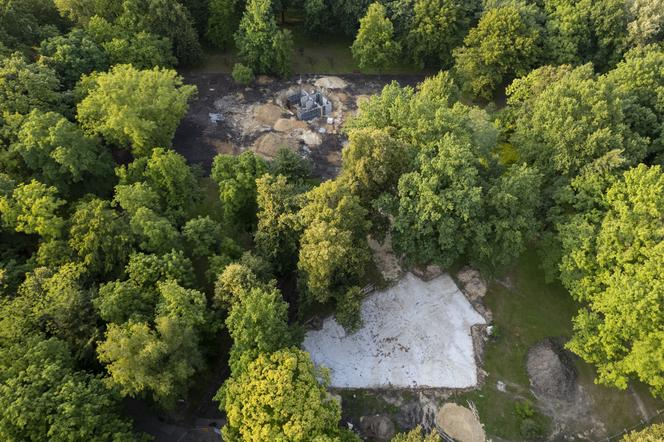 Trwa rewitalizacja Parku Hutniczego w Zabrzu