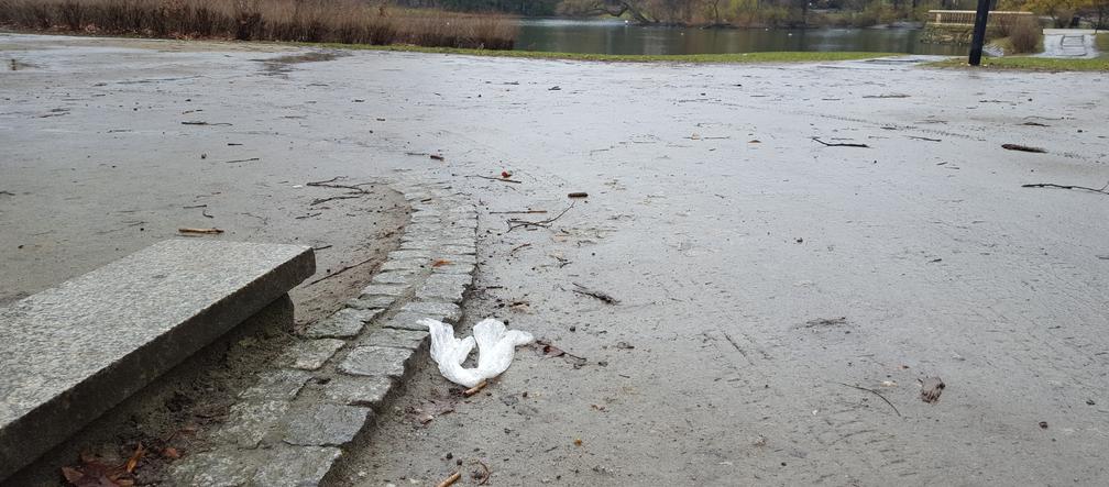 Stawy we wrocławskich parkach pełne śmieci
