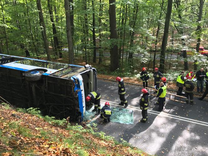 Wypadek autobusu w Gdyni