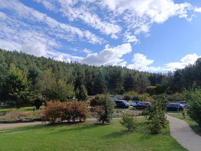 Zaczarowany ogród Alicji w Krainie Czarów i ścieżka spacerowa w lesie. Leśny Ogród Botaniczny Marszewo