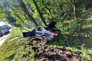 Kamieńczyk. Trzech ciężko rannych mężczyzn! Ich audi roztrzaskało się o drzewo na DK nr 62 [ZDJĘCIA]