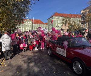 Marsz Różowej Wstążki w Szczecinie 2024