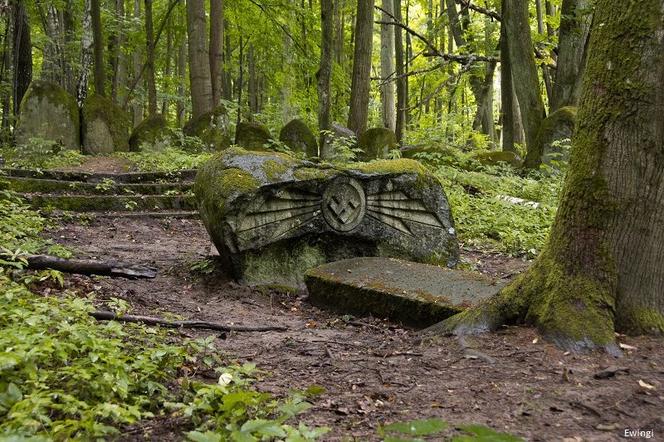Pseudomegalityczny cmentarz Dohnów na Mazurach [GALERIA]