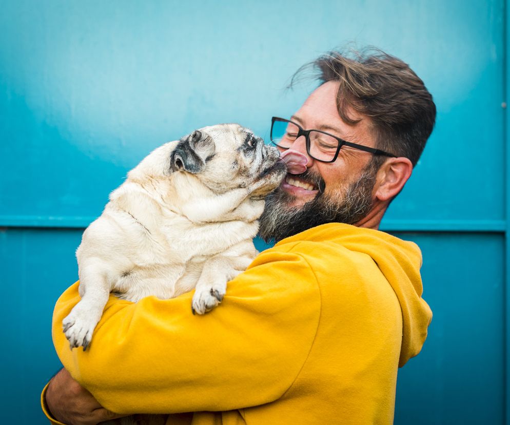 Złe wieści dla brodaczy. Naukowcy porównali mężczyzn z psami 