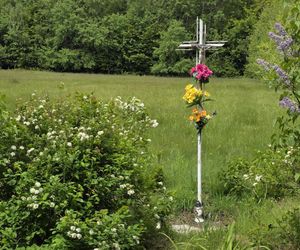 Podkarpackie kapliczki z historia. Wrzućcie tam prosze wszytko jak leci, tylko prosze tez jeszcze o pierwsze zdjęcie.