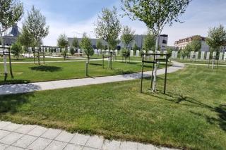 Park Pamięci Narodowej ojca Rydzyka straszy pustkami