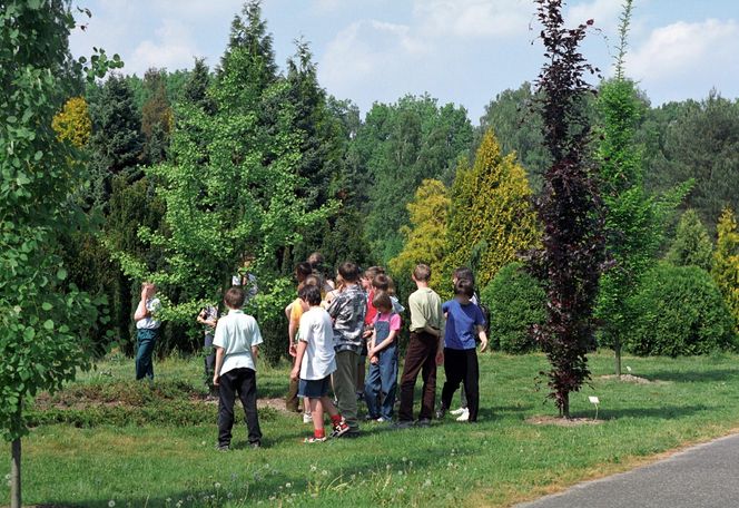 Ogród Botaniczny w Powsinie