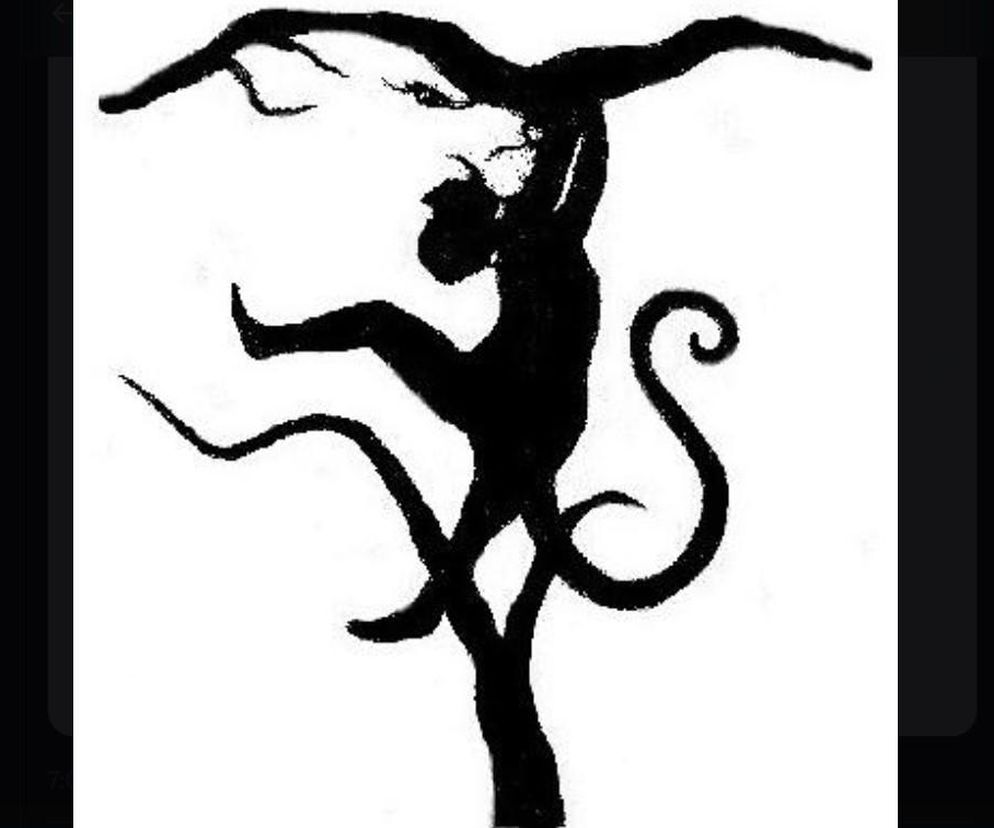 Test osobowości z obrazka