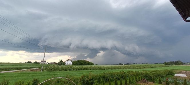 Potężne burze nad Polską. Drzewa spadały na samochody, setki interwencji straży pożarnej 