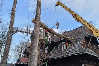 Halny w Tatrach złamał drzewo, konar spadł na dom. Nie kursuje kolejka na Kasprowy