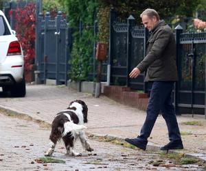 Donald Tusk na spacerze z Portosem