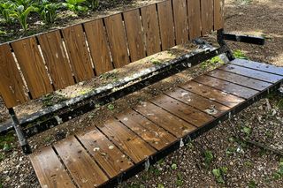 Park Lawendowy na osiedlu TBS w Białymstoku