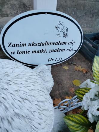 Grób Dzieci Utraconych w Czarnkowie. Trwa zbiórka na budowę pomnika. 
