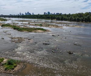 Warszawa. Rekordowy stan wody w Wiśle