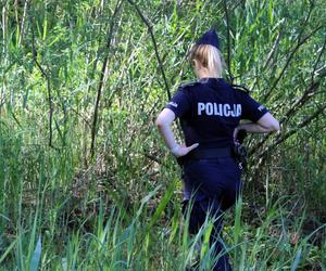 Działania służb na Wiśle w Toruniu. Straż, policja, strażnicy miejscy i grupa poszukiwawcza w akcji