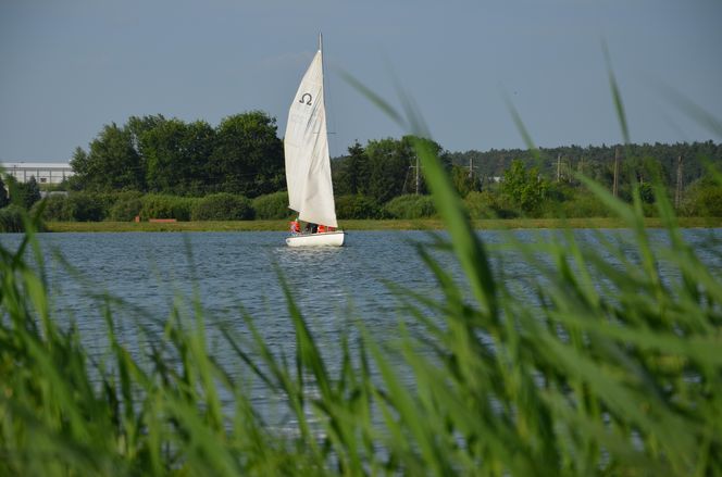 Kraśnik