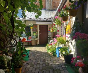Urokliwe podwórka Starego Miasta w Zamościu