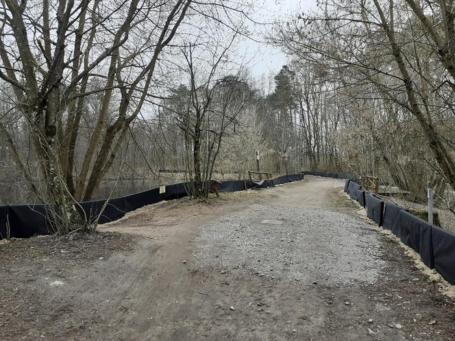 Ochrona żab na Barbarce