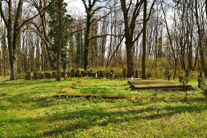 Cmentarz poewangelicki w Osiecznej 