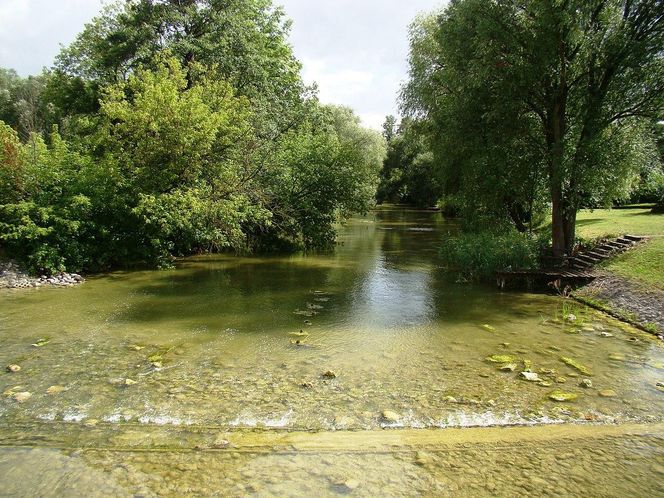 Rajgród