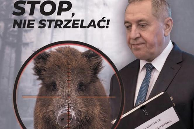 STOP, NIE STRZELAĆ!